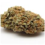 Шишки AK47 (Гидропоника, Бошка) VHQ в Туймазах Шишки AK47 (Гидропоника, Бошка) VHQ в Туймазах